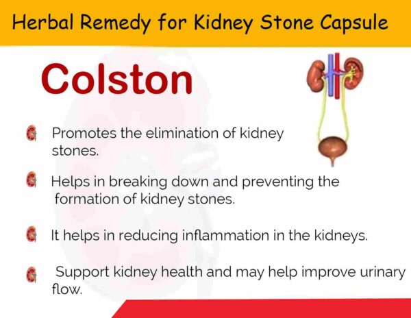 Herbal Remedy For Stone Capsules | Colston