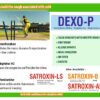 Dextromethorphan Hydrobromide Phenylephrine Hydrochloride Chlorpheniramine Maleate Syrup | Dexo-P Cough Syrup